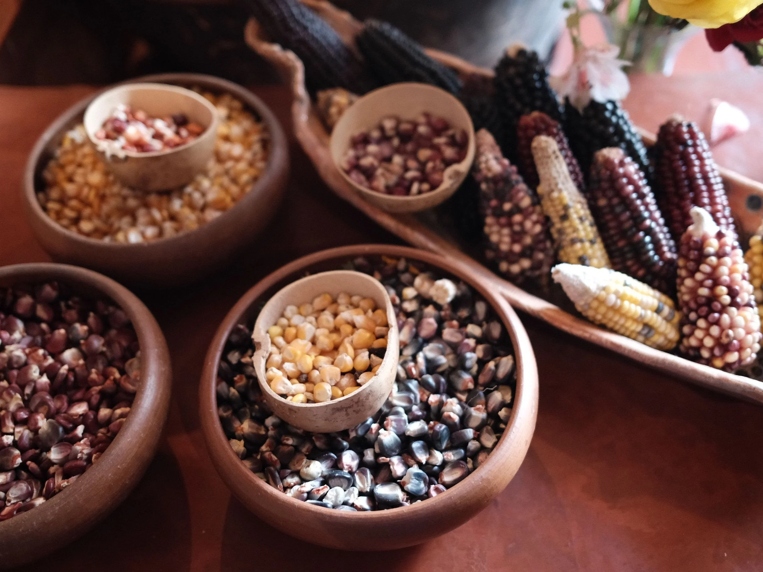 Oaxaca, Winter 2027 — Zingerman's Food Tours